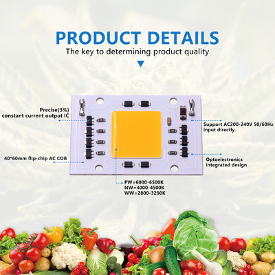 AC 200-240V COB एलईडी चिप्स DOB 4060 30W 50W एलईडी आउटडोर प्रकाश के लिए