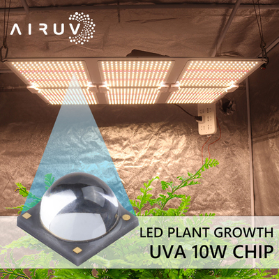 यूवी इलाज के लिए 10W 365nm 385nm 395nm 6-7V Uva 3W एलईडी चिप्स
