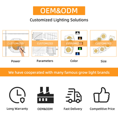 OEM ODM तरंग दैर्ध्य BI रंग 205V SMD एलईडी चिप गर्म सफेद + सफेद 6060 SMD एलईडी चिप उत्सर्जित