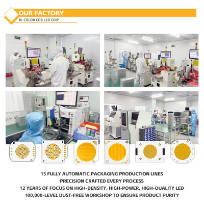 कस्टमाइज्ड एल्यूमिनियम मटेरियल COB चिप 2424 सफेद, नीला, लाल और हरा हाई ब्राइटनेस चाइना फैक्ट्री में