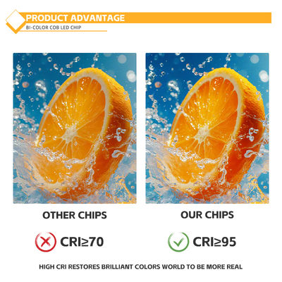 कस्टमाइज्ड एल्यूमिनियम मटेरियल COB चिप 2424 सफेद, नीला, लाल और हरा हाई ब्राइटनेस चाइना फैक्ट्री में