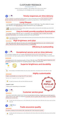 1W 220-235nm 4040 लो थर्मल रेजिस्टेंस यूवीसी एलईडी आईसीयू अस्पताल मैन-मशीन सहजीवन जल कीटाणुशोधन के लिए