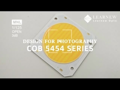 5454 दोहरे रंग तापमान चिप