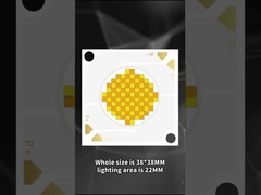 3838 दोहरे रंग COB एलईडी